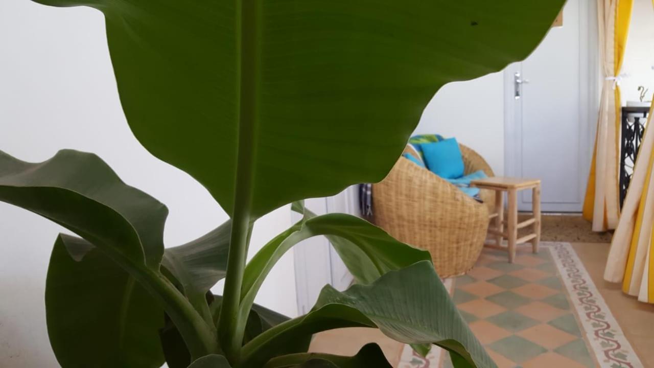 Riad Medina Маракеш Екстериор снимка